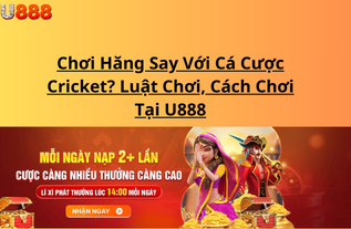 Chơi Hăng Say Với Cá Cược Cricket? Luật Chơi, Cách Chơi Tại U888